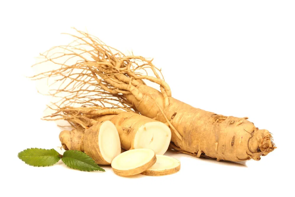 Ginseng Kökü Ekstresi